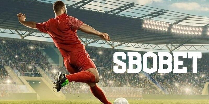 s66 đăng nhập mậu binh uy tín