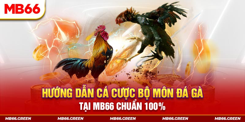 s66 chơi baccarat là gì