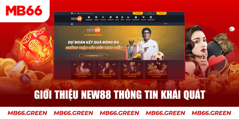 s66 c1 gà chọi
