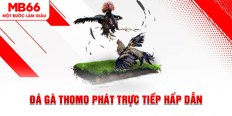 s66 xổ số thứ tư