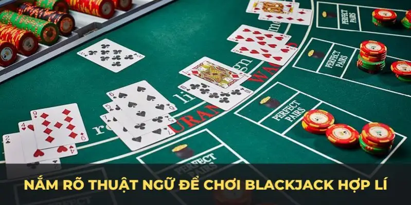 s66 esport la gì