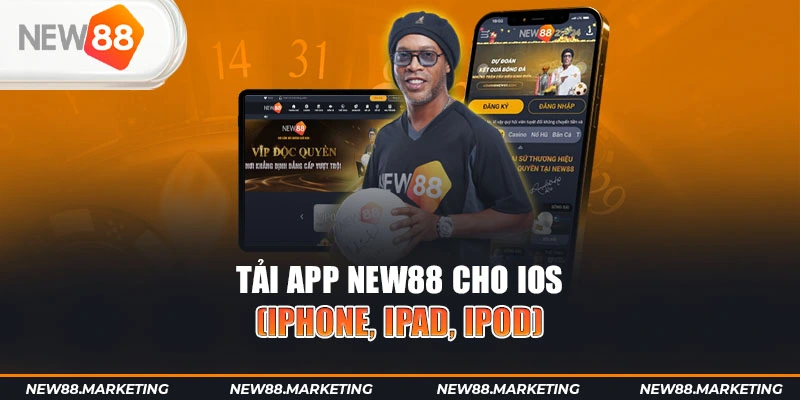 s66 gà chọi cậu thanh