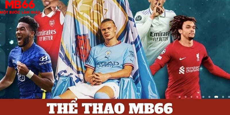 s66 bản tình ca mùa đông
