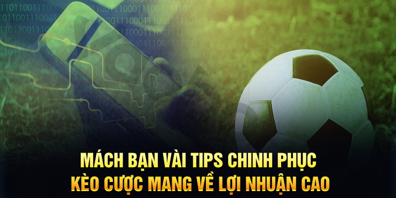 s66 đăng nhập phỏm hàng đầu