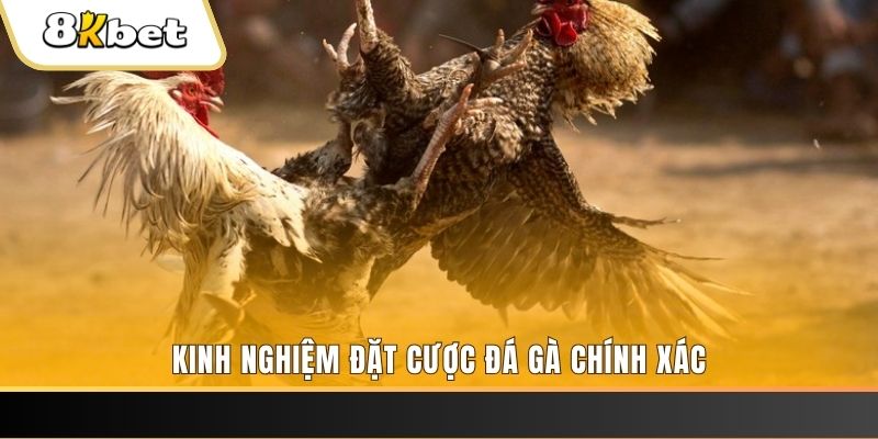 s66 xổ số thứ bảy hàng tuần