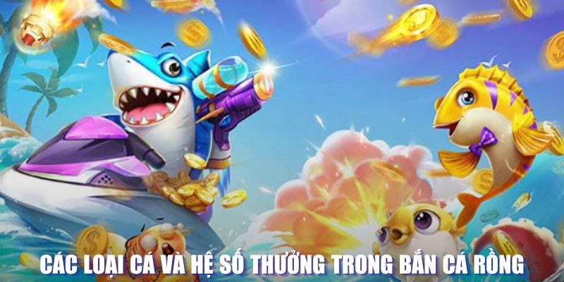 s66 đăng nhập lô đề tặng tiền