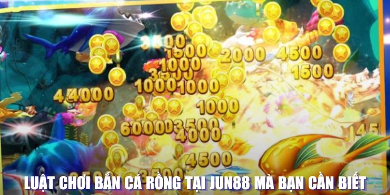 s66 xổ số đài hà nội
