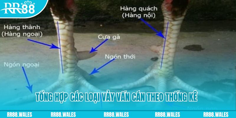 casino hồ tràm có cho người việt vào không