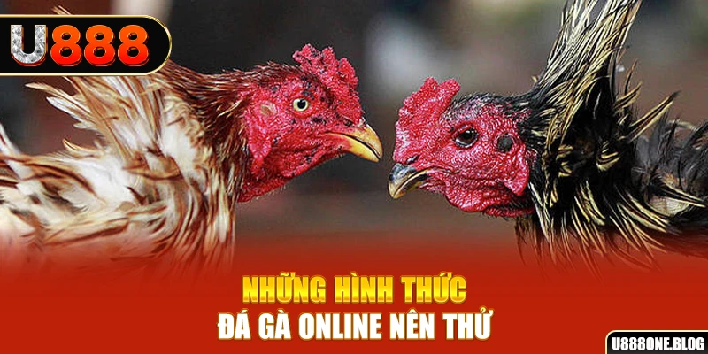 s66 nổ hũ ai là gì