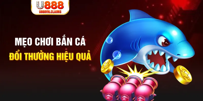 s66 gà chọi cam ranh
