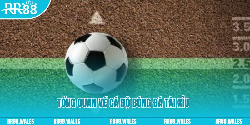 s66 đăng nhập roulette online