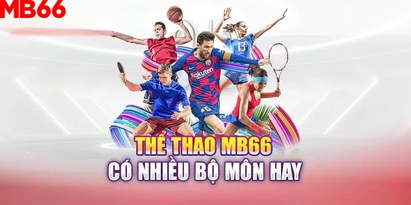 s66 what is the best online casino