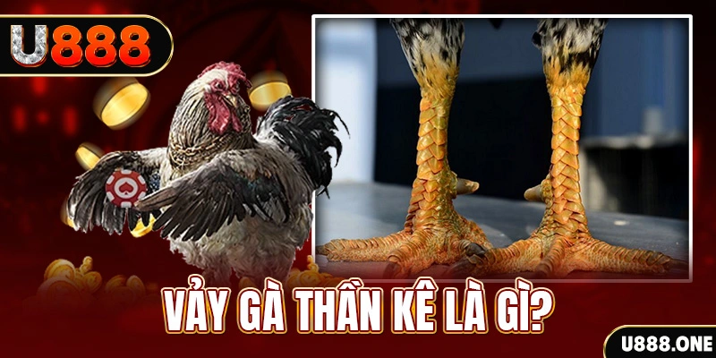 s66 đăng nhập poker khuyến mãi