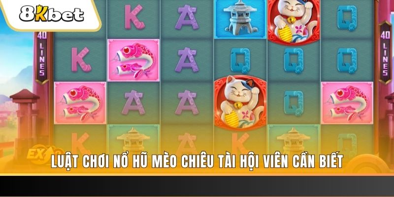 s66 gà chọi cu cần