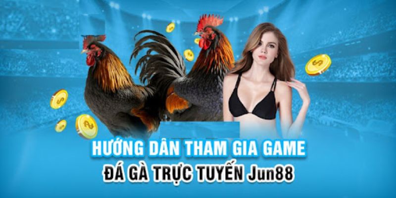 s66 game cá cược máy bay