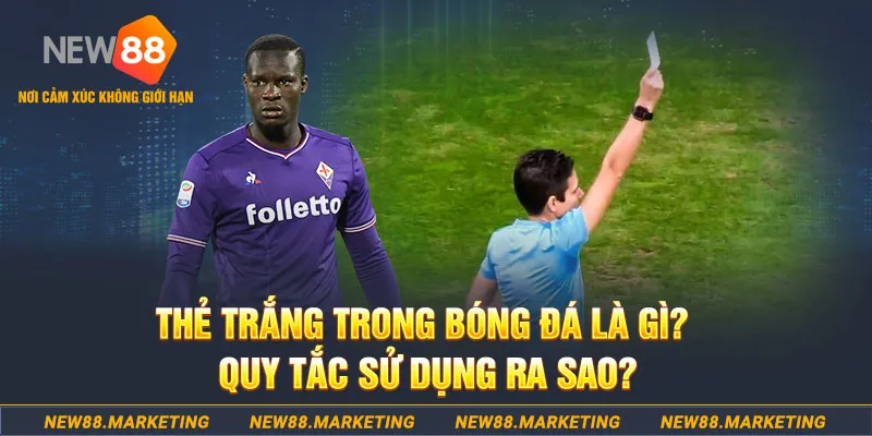s66 đăng nhập sòng bạc hôm nay