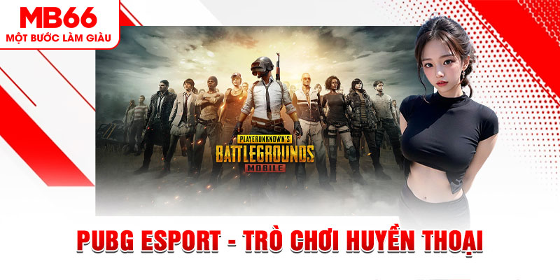 s66 casino online là gì