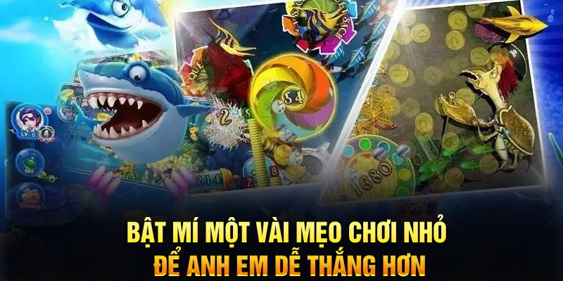 s66 xổ số thứ ba