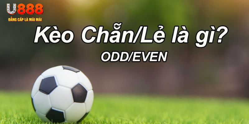 s66 đăng nhập sòng bạc 2024