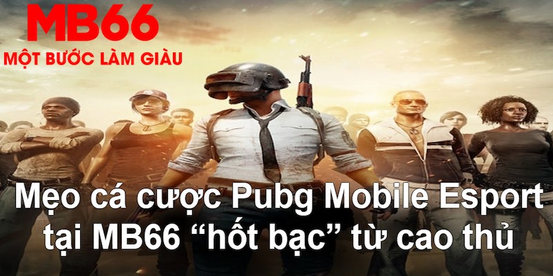 s66 đăng nhập poker hàng đầu