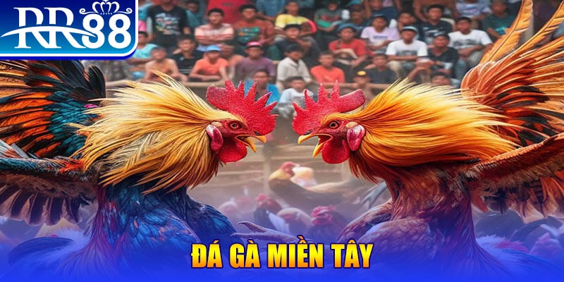 s66 người chia bài trong casino gọi là gì