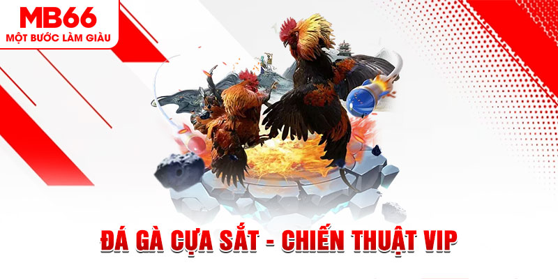 s66 ai tool nổ hũ
