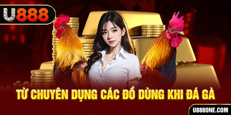 s66 đá gà trực tiếp campuchia