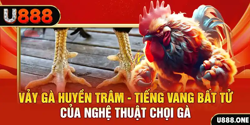 s66 xổ số trực tiếp miền bắc